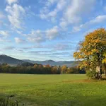 Pretty In With Adjacent Forest