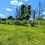 Pretty In With Adjacent Forest *