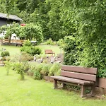 Pretty In With Adjacent Forest *