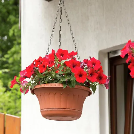 Pretty In With Adjacent Forest * メーデバッハ