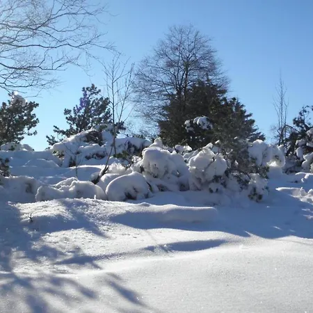 アパート Pretty In With Adjacent Forest メーデバッハ