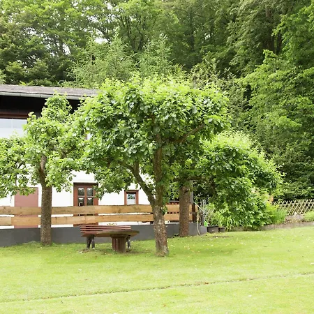 Pretty In With Adjacent Forest *