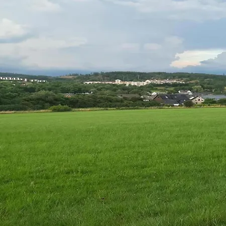 Pretty In With Adjacent Forest *