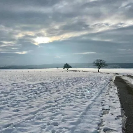 Pretty In With Adjacent Forest