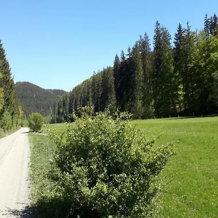 Pretty In With Adjacent Forest アパート