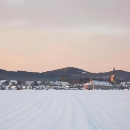 Pretty In With Adjacent Forest メーデバッハ