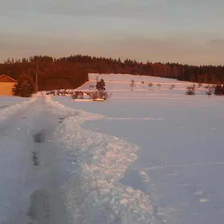 Pretty In With Adjacent Forest アパート