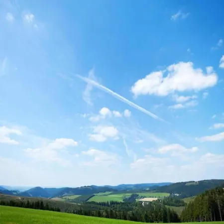 アパート Pretty In With Adjacent Forest メーデバッハ