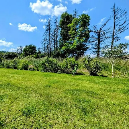 Pretty In With Adjacent Forest アパート