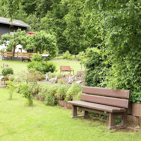 Pretty In With Adjacent Forest *