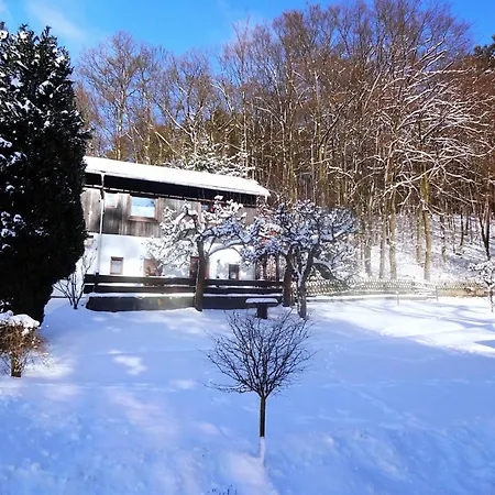 Pretty In With Adjacent Forest Apartment