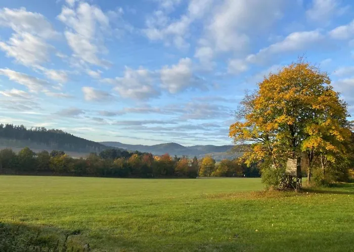 Pretty In With Adjacent Forest