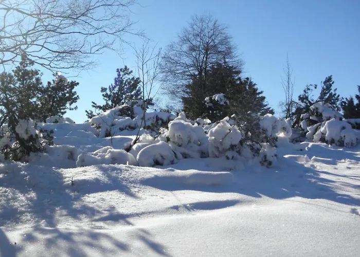 Lejlighed Pretty In With Adjacent Forest Medebach