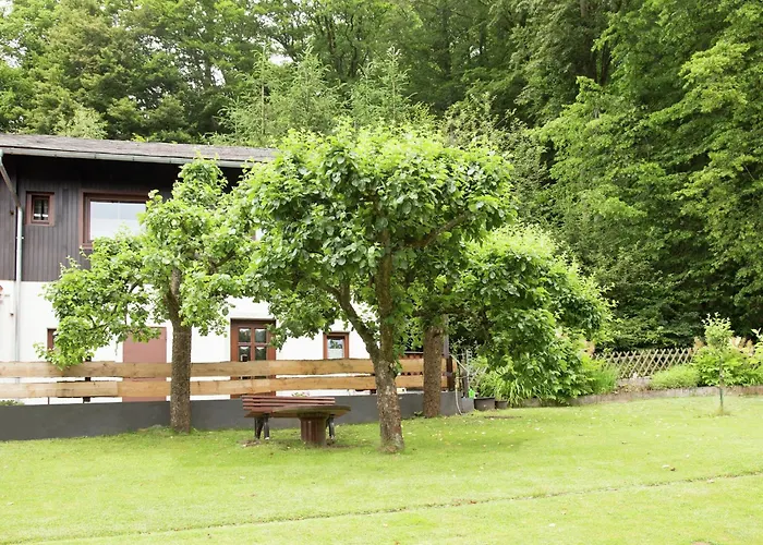 Pretty In With Adjacent Forest *