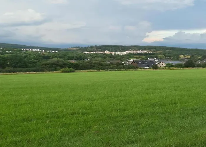 Pretty In With Adjacent Forest *