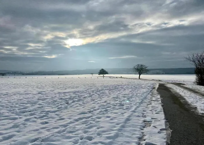 Pretty In With Adjacent Forest