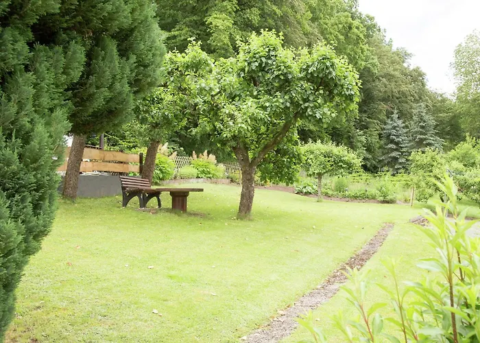 Lejlighed Pretty In With Adjacent Forest Medebach