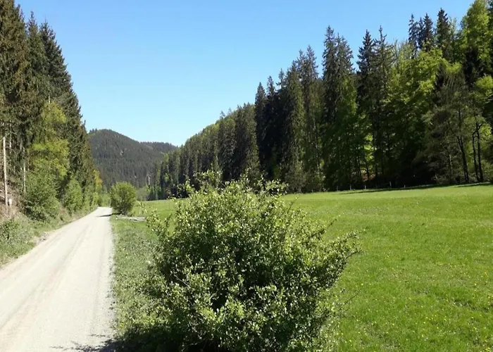 Pretty In With Adjacent Forest Lejlighed