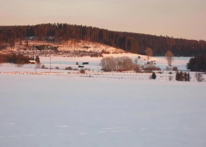 Pretty In With Adjacent Forest Lejlighed Medebach