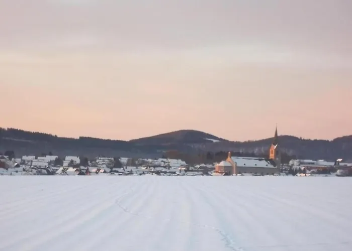 Pretty In With Adjacent Forest Medebach