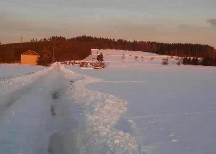 Pretty In With Adjacent Forest Lejlighed