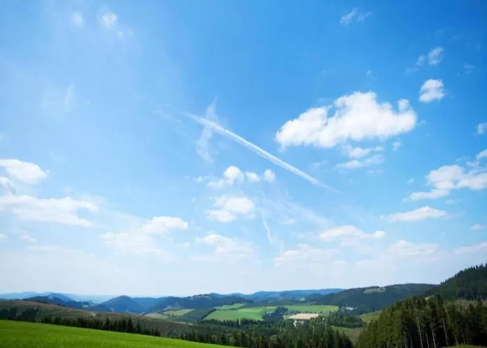 Lejlighed Pretty In With Adjacent Forest Medebach